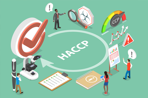 1x1 Lebensmittelhygiene & HACCP